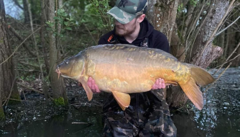 A carp from Emeraude, Aug 2023