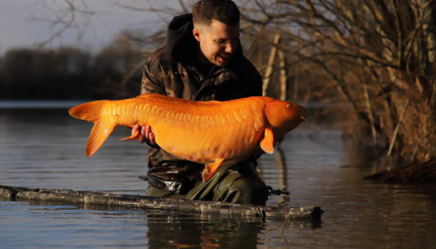 A carp from Emeraude, Feb 2023