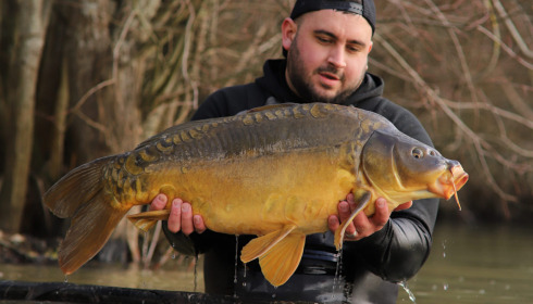 A carp from Emeraude, Feb 2023