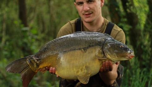 A carp from Emeraude, Jun 2022