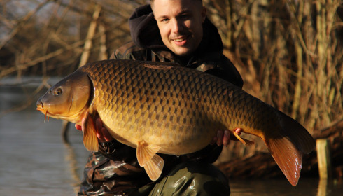 A carp from Emeraude, Feb 2023