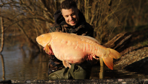 A carp from Emeraude, Feb 2023