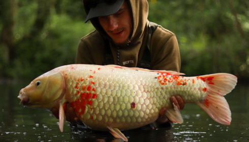 A carp from Emeraude, Jun 2023