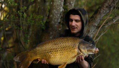 A carp from Emeraude, May 2023