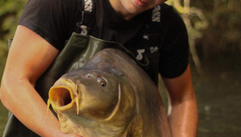 A carp from Emeraude, Jul 2023