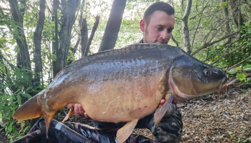 A carp from Emeraude, Jun 2023
