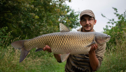 A carp from Emeraude, Jul 2022