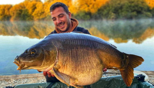 A carp from Emeraude, Feb 2023