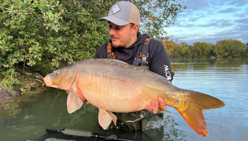 A carp from Emeraude, Oct 2022