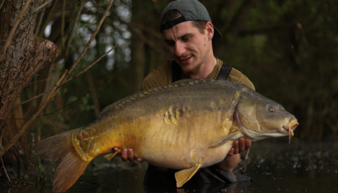A carp from Emeraude, May 2023