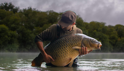 A carp from Emeraude, Jul 2022
