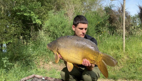 A carp from Emeraude, Jun 2023