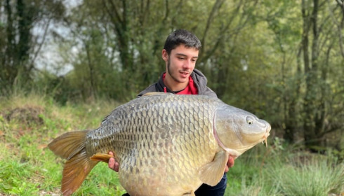 A carp from Emeraude, Oct 2022