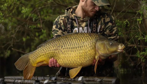 A carp from Emeraude, May 2023