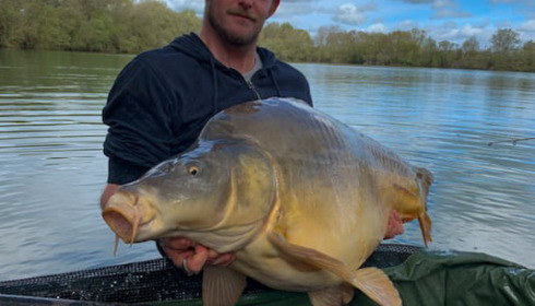 A carp from Emeraude, Apr 2023