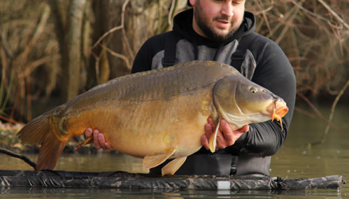 A carp from Emeraude, Feb 2023
