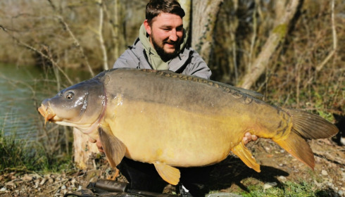A carp from Emeraude, Feb 2023