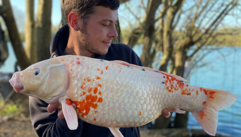 A carp from Emeraude, Apr 2023