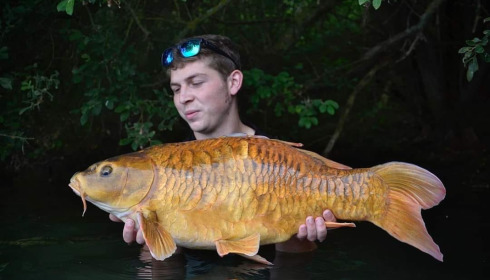 A carp from Emeraude, Jul 2023