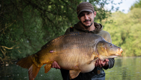 A carp from Emeraude, Sep 2022