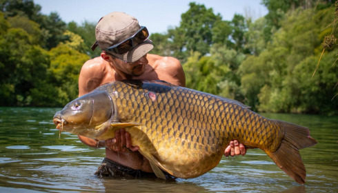 A carp from Emeraude, Jul 2022