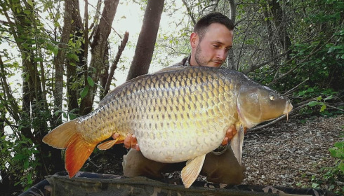 A carp from Emeraude, Jun 2023