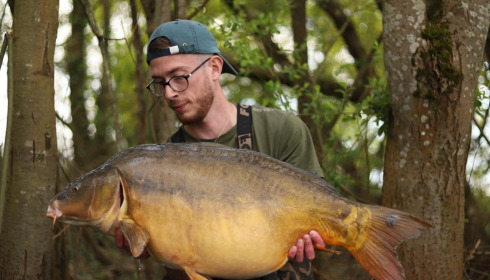 A carp from Emeraude, May 2023