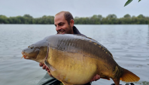 A carp from Emeraude, Oct 2022