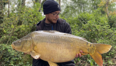 A carp from Emeraude, May 2023