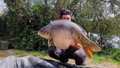 A carp from Emeraude, Aug 2023