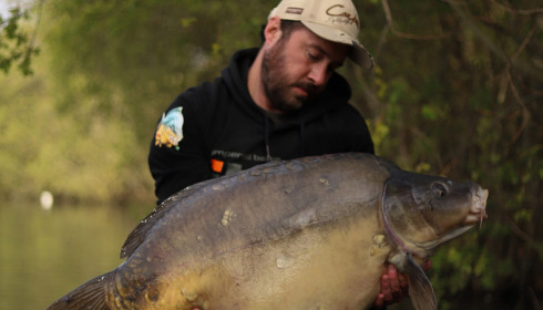 A carp from Emeraude, May 2023