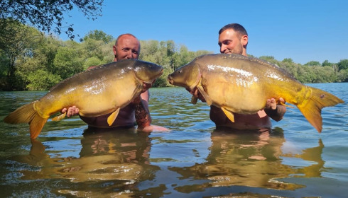A carp from Emeraude, Jun 2023