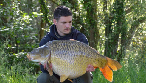 A carp from Emeraude, Jun 2023