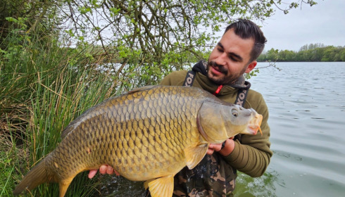 A carp from Emeraude, May 2023
