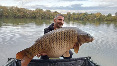 A carp from Emeraude, Feb 2023