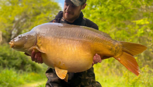 A carp from Emeraude, Aug 2023