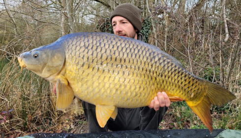 A carp from Emeraude, Apr 2023