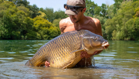 A carp from Emeraude, Jul 2022