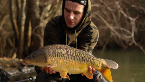 A carp from Emeraude, Feb 2022