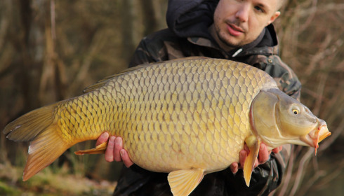 A carp from Emeraude, Feb 2023
