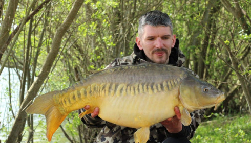A carp from Emeraude, May 2023