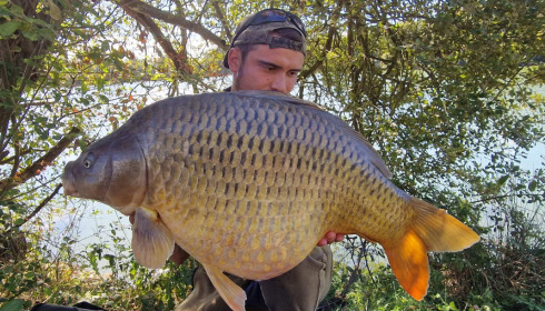 A carp from Emeraude, Sep 2022