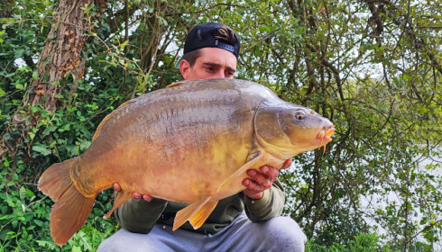 A carp from Emeraude, Aug 2023