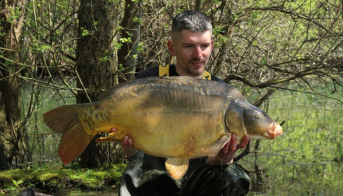 A carp from Emeraude, May 2023