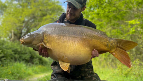 A carp from Emeraude, May 2023