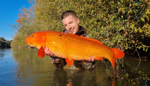 A carp from Emeraude, Feb 2022
