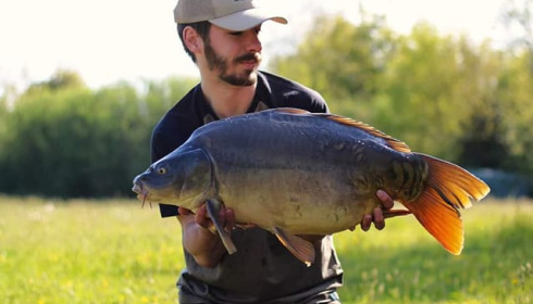 A carp from Emeraude, May 2022