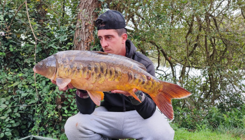 A carp from Emeraude, Aug 2023
