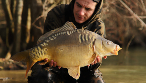 A carp from Emeraude, Feb 2023