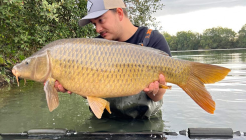 A carp from Emeraude, Oct 2022